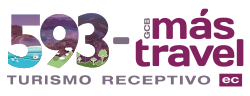 593 Mas Travel